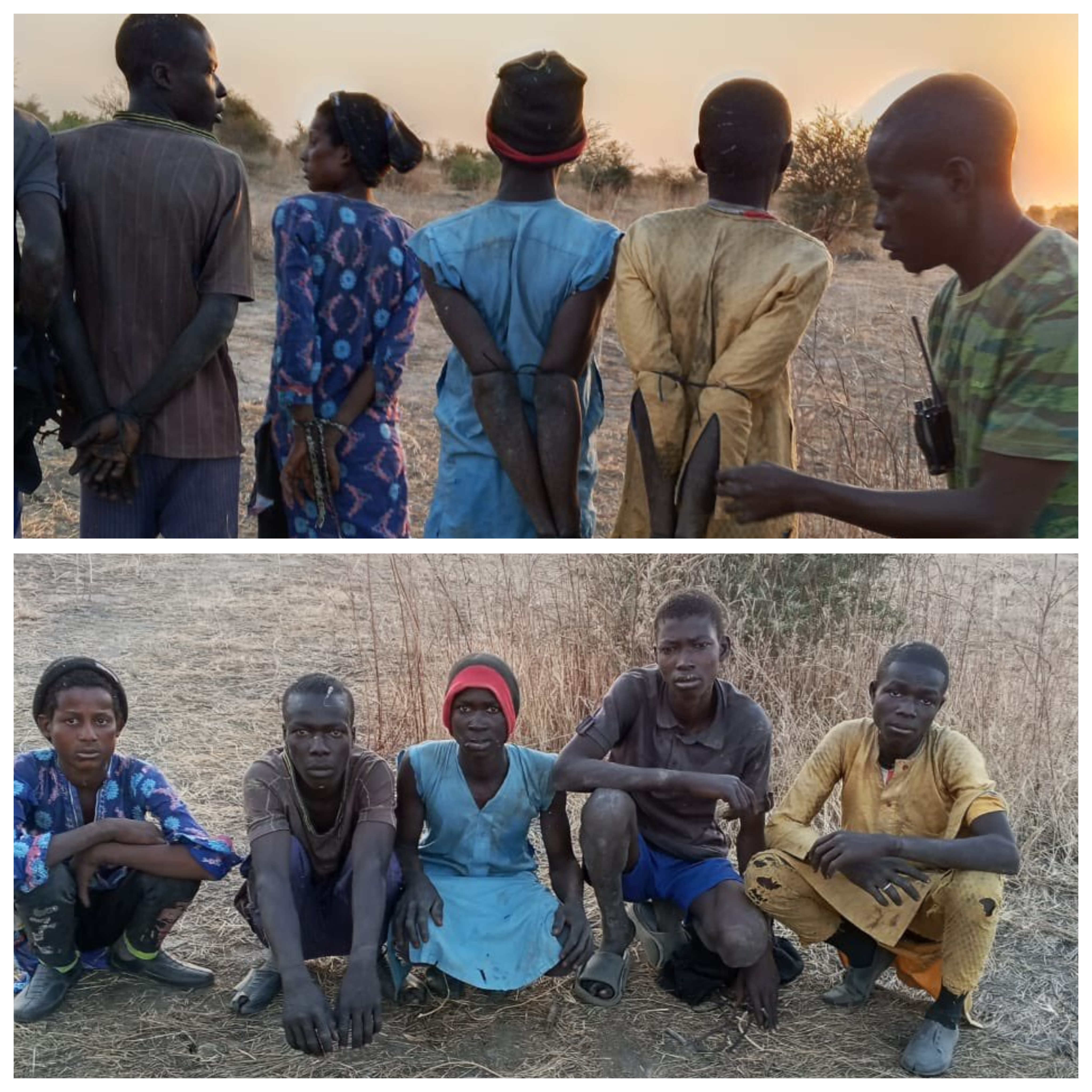 DSS and forest guards rescue 7 abducted victims from ISWAP enclave in Borno