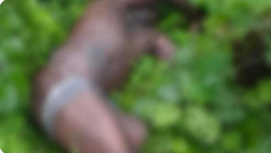 Panic in Ondo community as police uncover bodies of two residents in bush