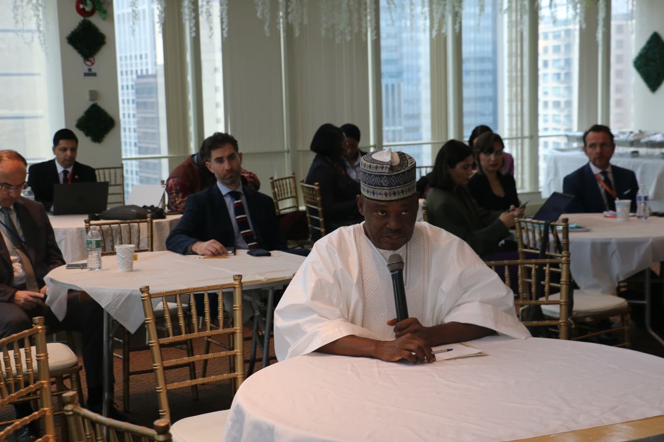 Nigeria seeks global support for proposed State Police