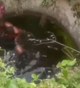 Police launch probe after officers chase man to his de@th in Delta (video)