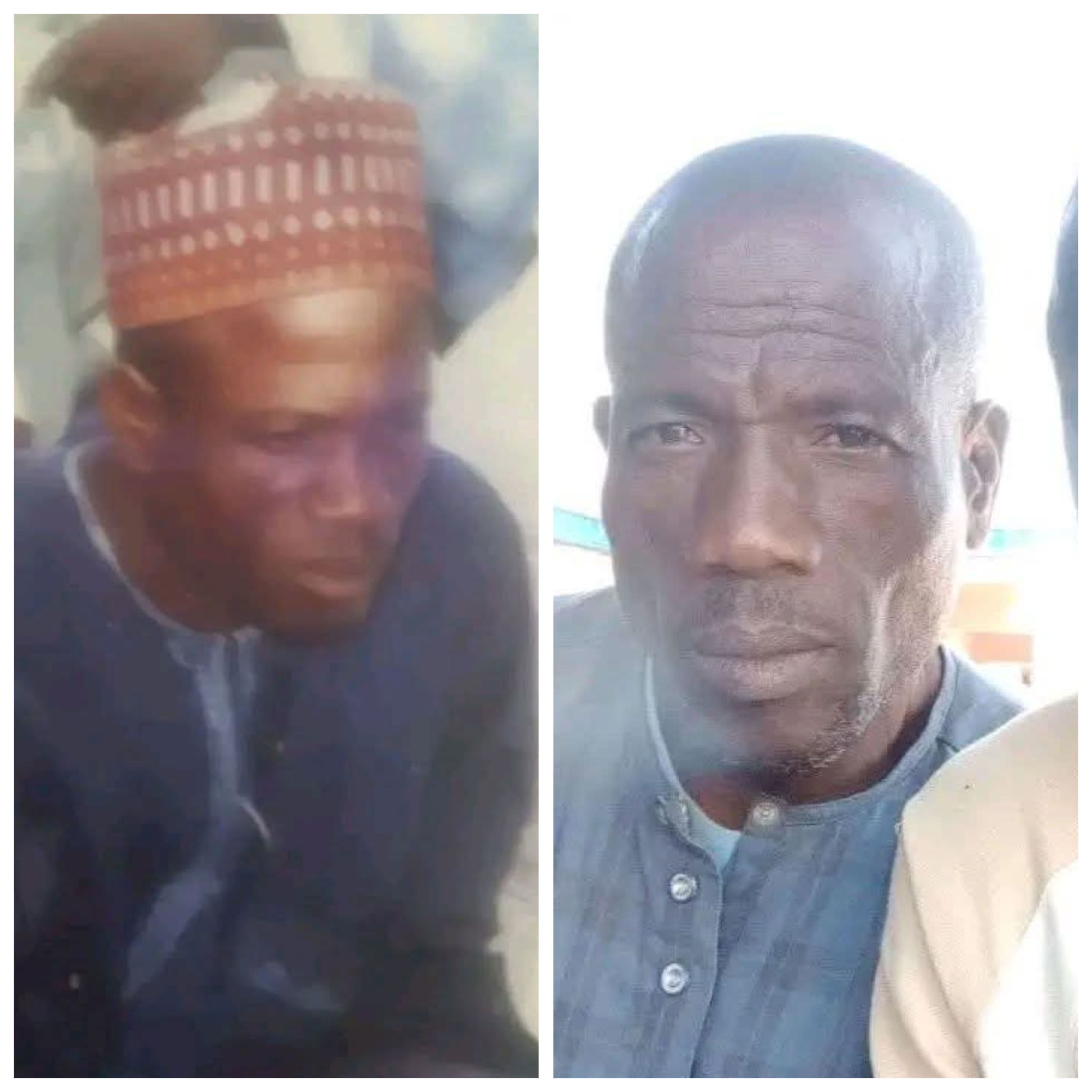 Terrorists k!ll nurse and four farmers in Niger State